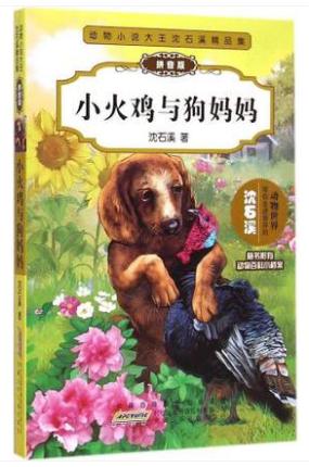 动物小说大王沈石溪精品集--小火鸡与狗妈妈（拼音版）