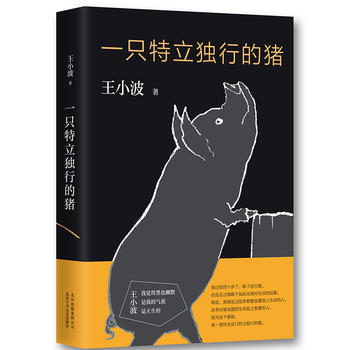王小波－一只特立独行的猪 (2017精装35.00)