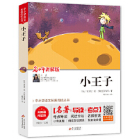 中小语文扩展阅读丛书《小王子》