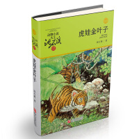 动物小说大王沈石溪品藏书系--虎娃金叶子