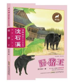 (美绘版)动物小说大王沈石溪动物故事注音本系列—野猪王