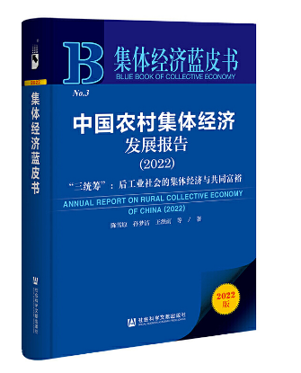 集体经济蓝皮书--中国农村集体经济发展报告